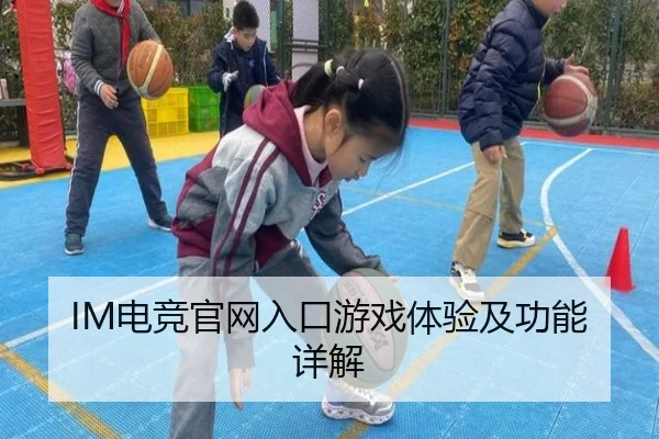 IM电竞官网入口游戏体验及功能详解