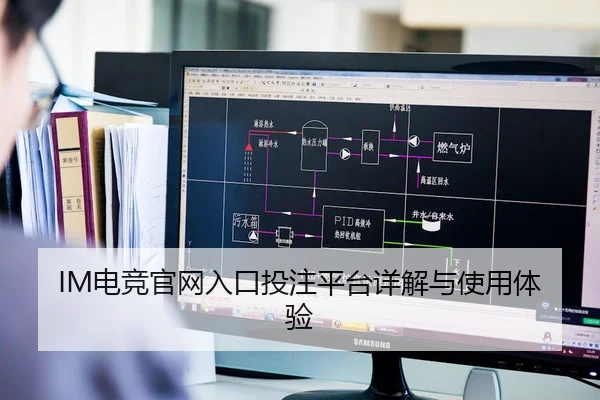 IM电竞官网入口投注平台详解与使用体验