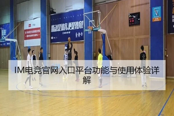 IM电竞官网入口平台功能与使用体验详解