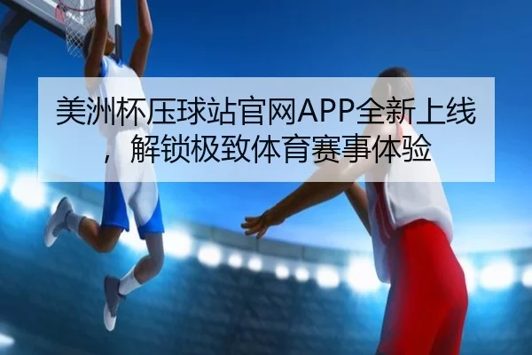 美洲杯压球站官网APP全新上线，解锁极致体育赛事体验