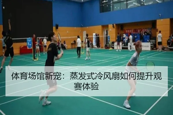体育场馆新宠：蒸发式冷风扇如何提升观赛体验
